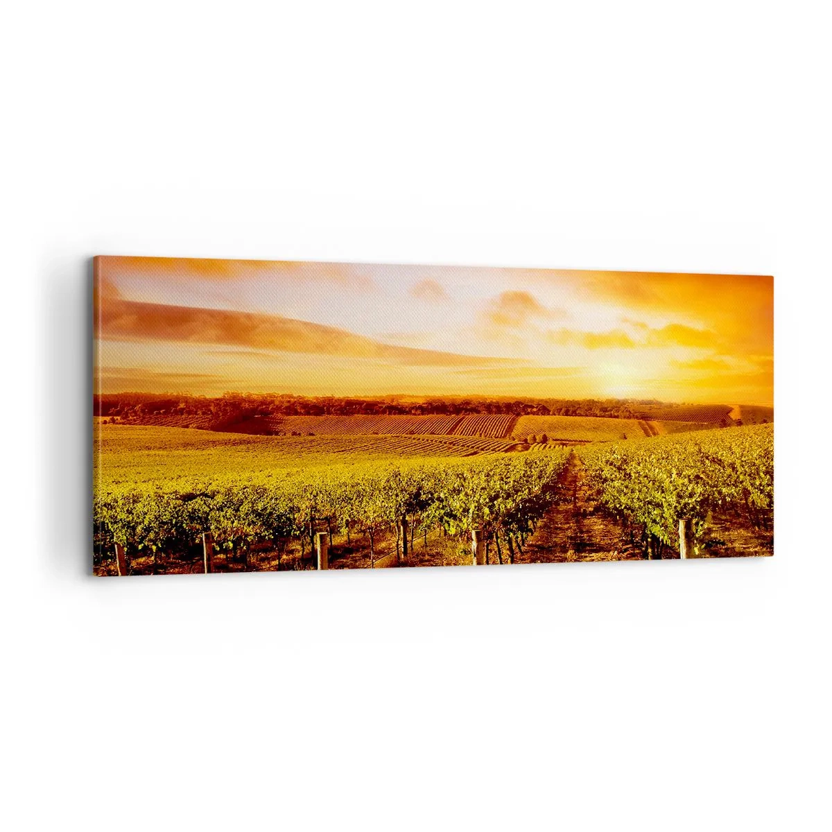 Canvastavla - Bild på duk - Fina druvor med en gnutta sol - 100x40 cm