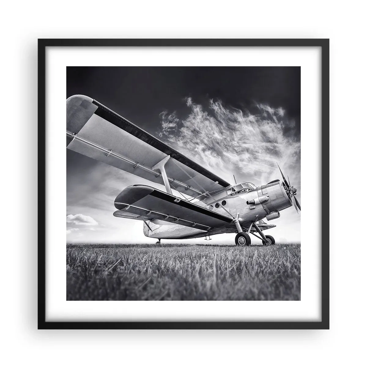 Affisch i svart ram - Bevingad vandrare - 50x50 cm