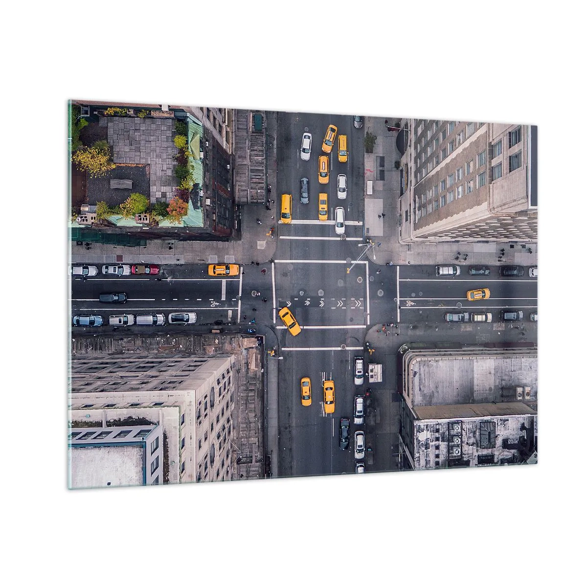 Glastavla - Bild på glas - Enkelt val - 100x70 cm