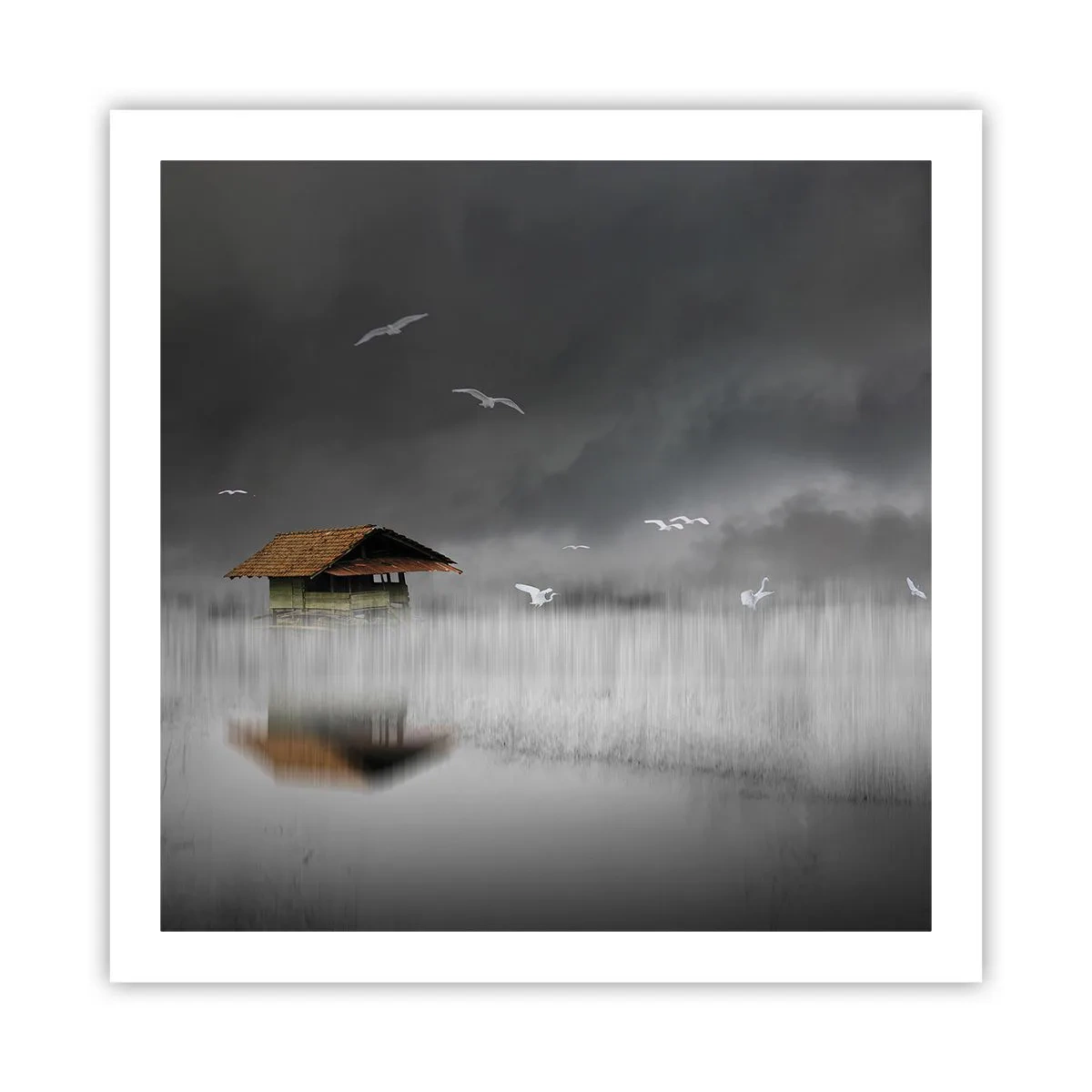 Affisch - Regnskydd - 60x60 cm