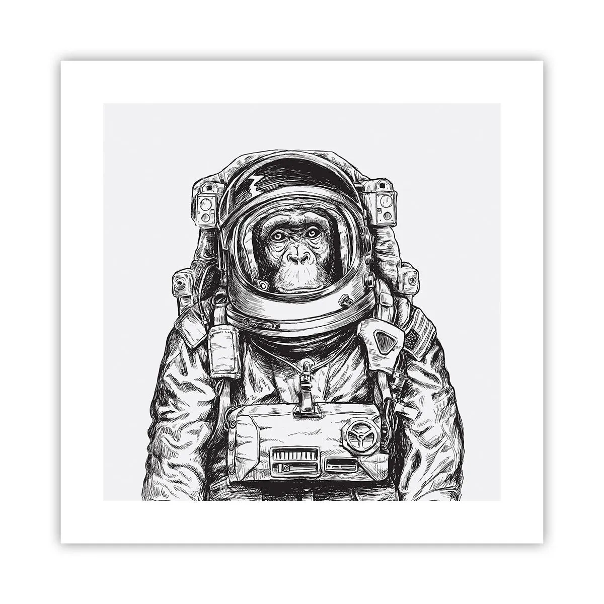 Affisch - Alternativ evolution - 40x40 cm