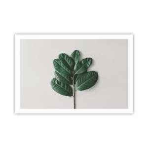 Affisch - Själva naturens bild - 91x61 cm