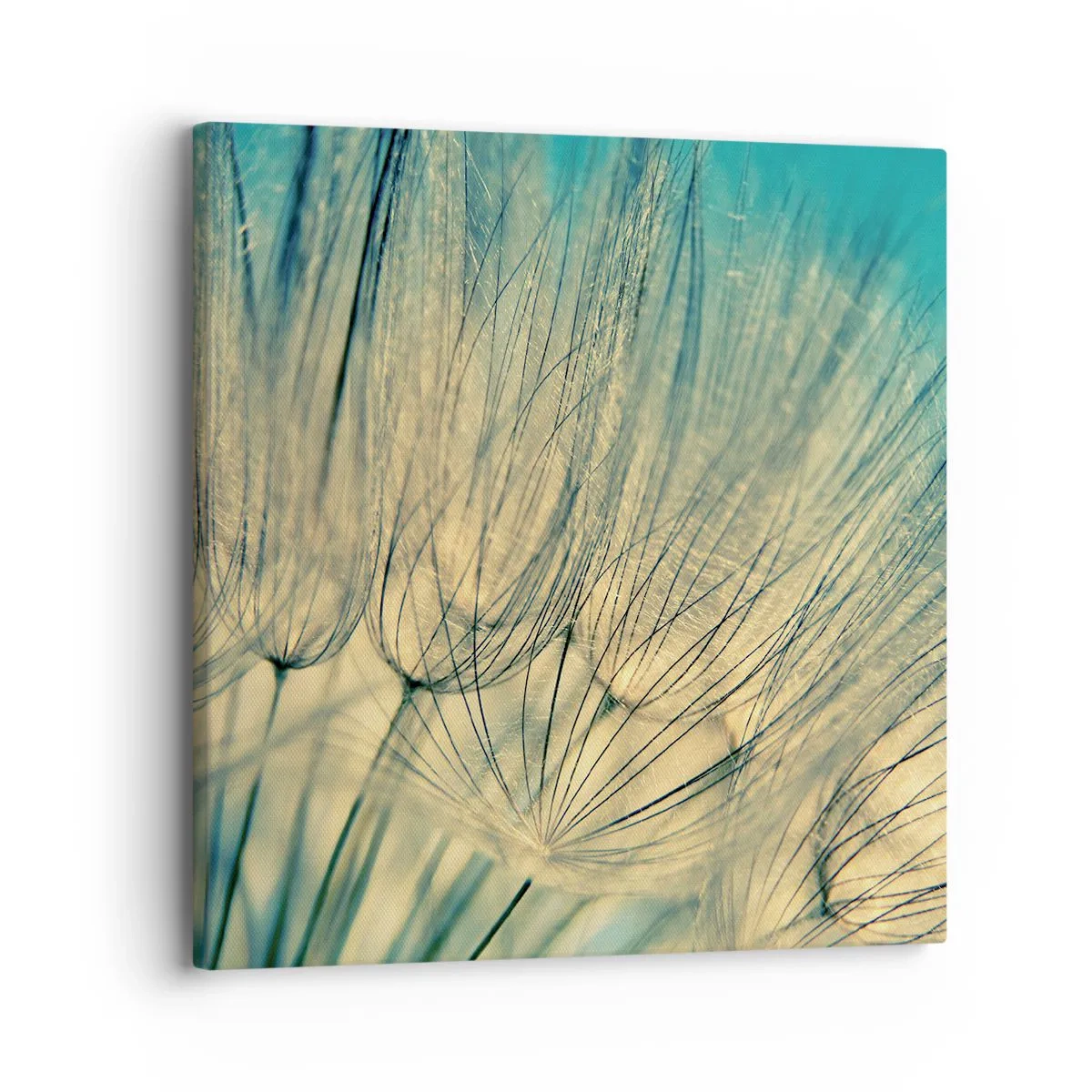 Canvastavla - Bild på duk - I väntan på vinden - 30x30 cm