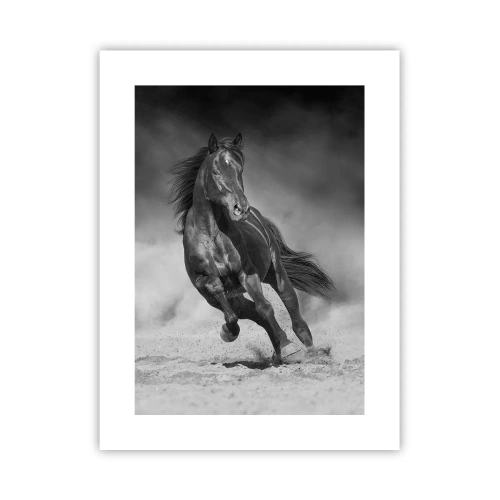 Affisch - Värd själva emiren - 30x40 cm