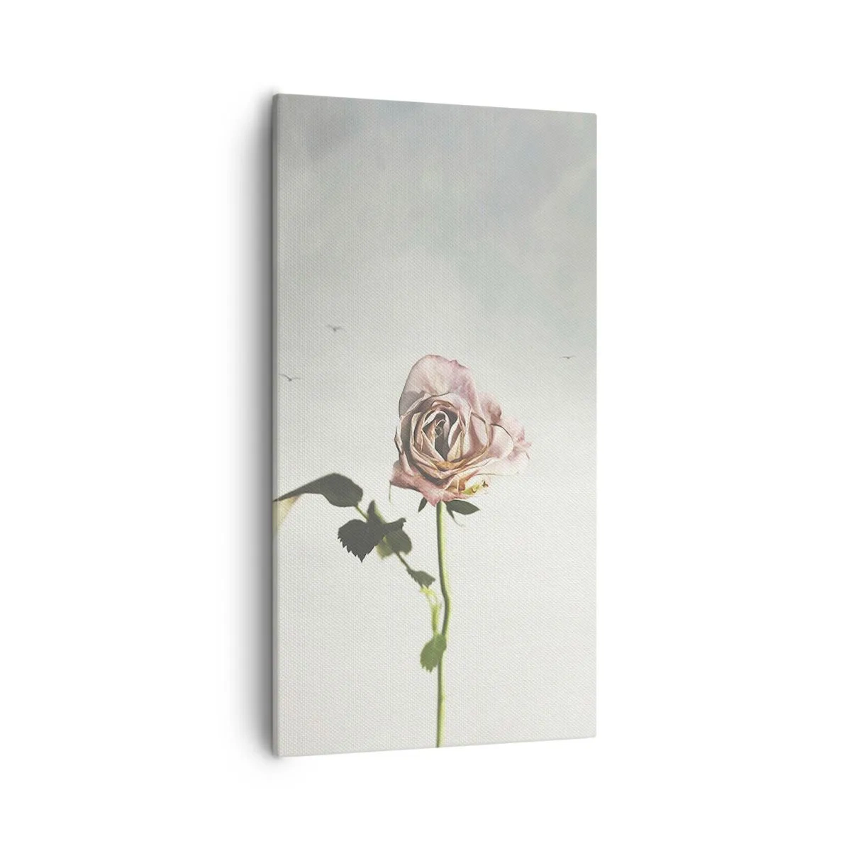 Canvastavla - Bild på duk - Vårens välkomst - 55x100 cm