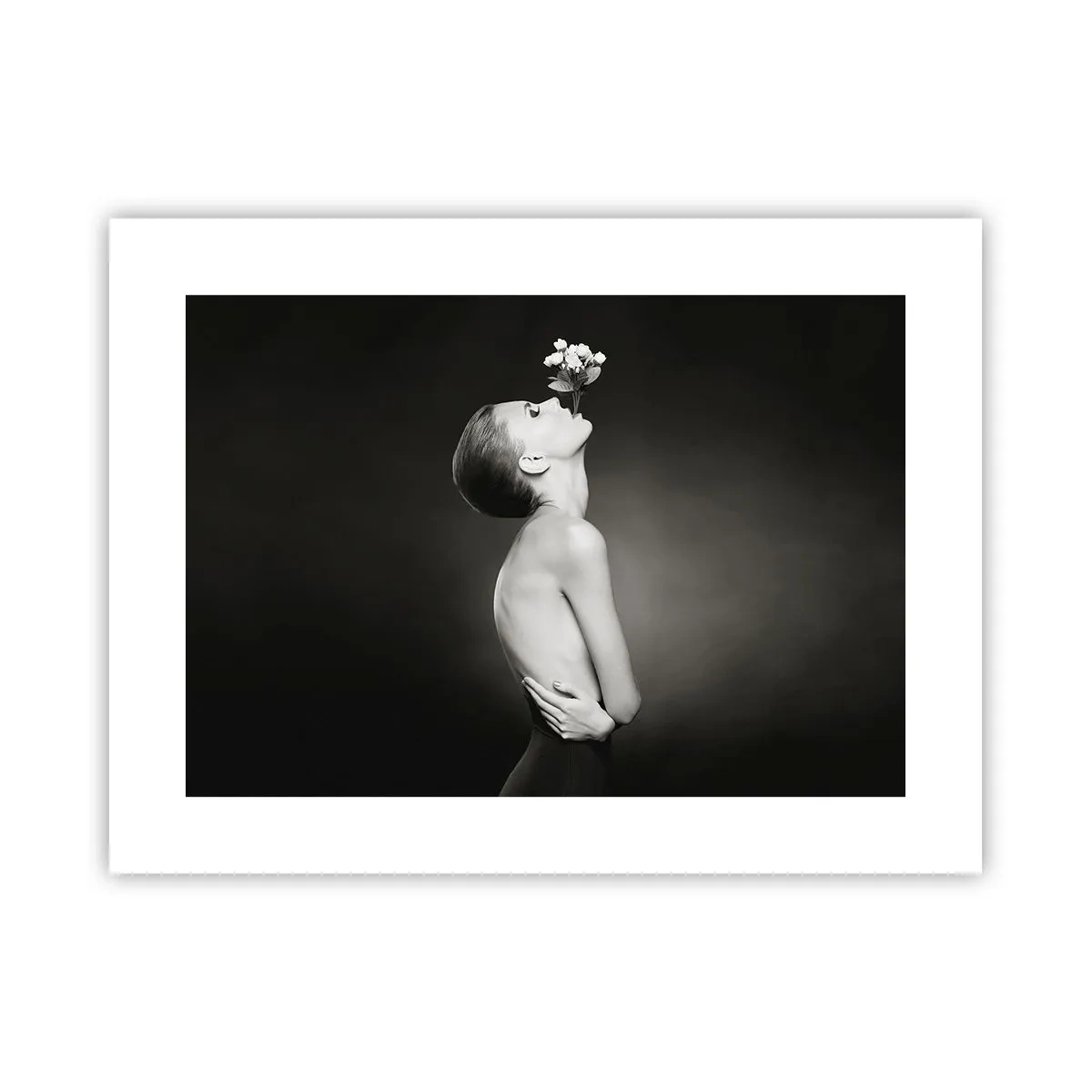 Affisch - Excentrisk elegans - 40x30 cm