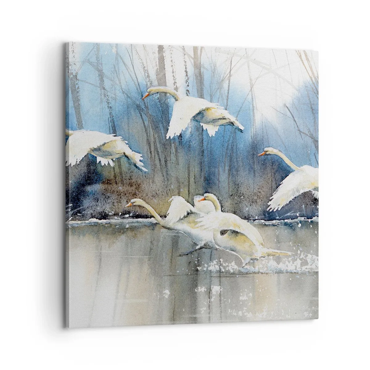 Canvastavla - Bild på duk - Som i en saga om vilda svanar - 60x60 cm