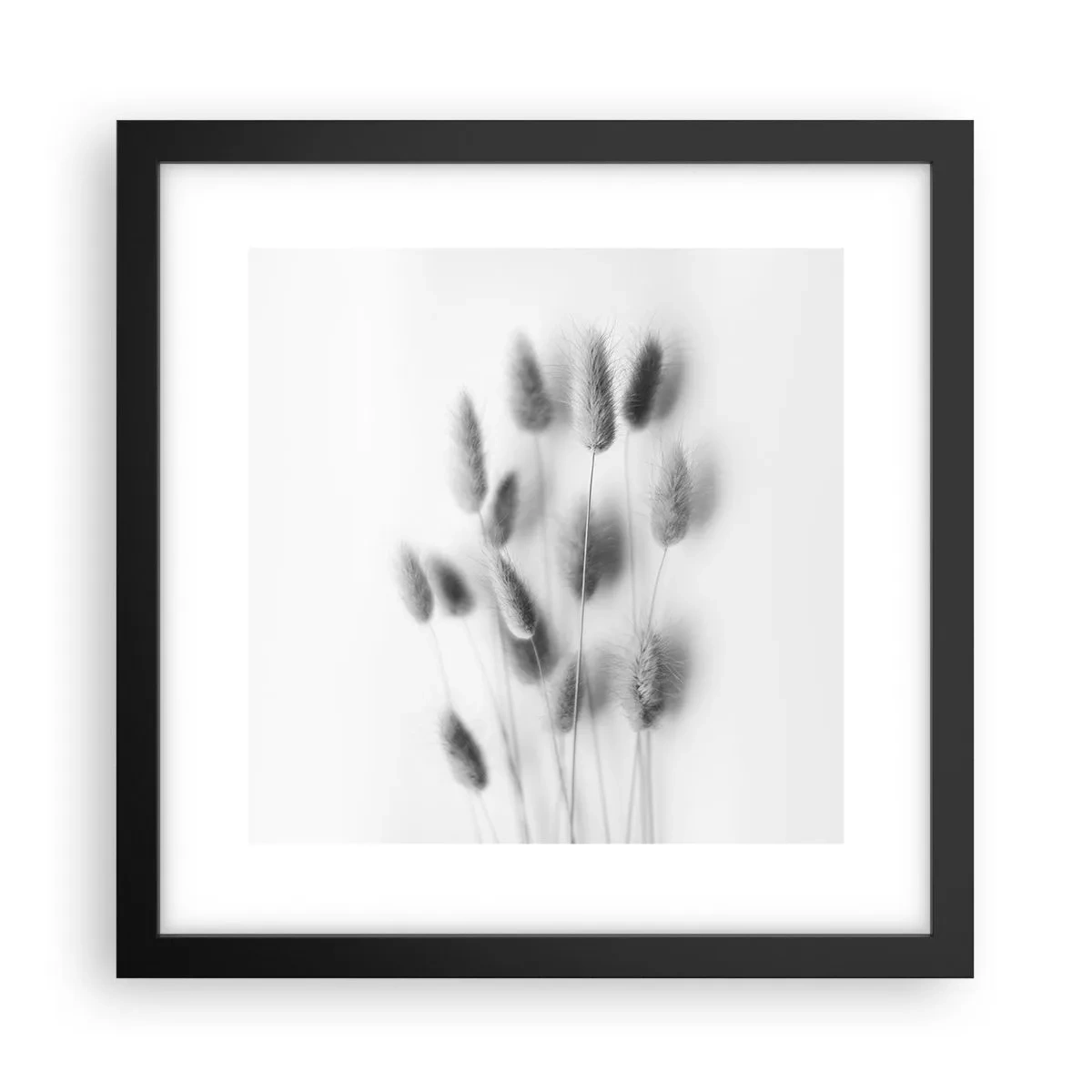 Affisch i svart ram - Fluffigt gräs - 30x30 cm