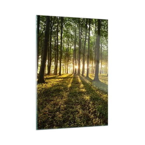 Glastavla - Bild på glas - Fotografi av alla vårar - 50x70 cm