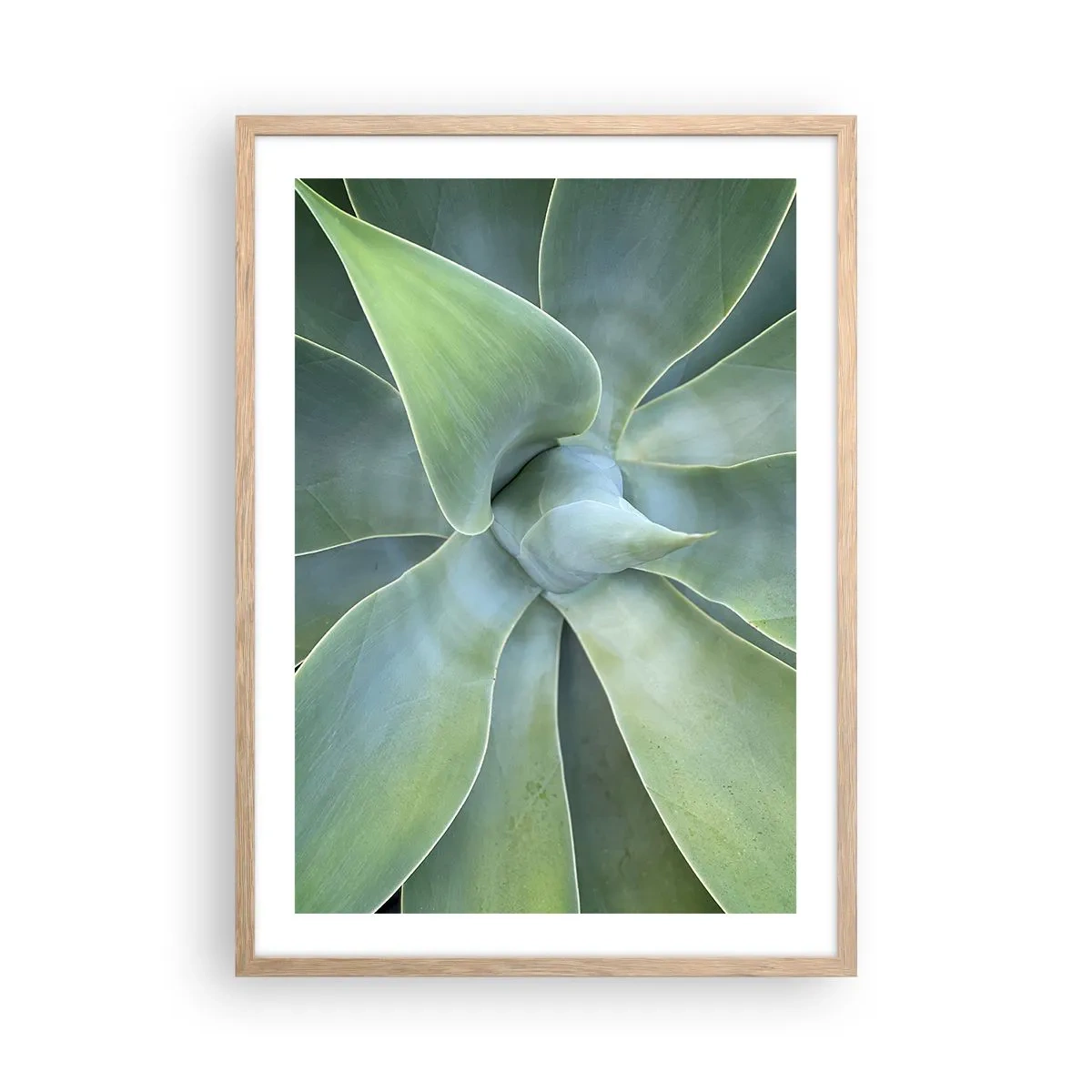 Affisch i ram av ljusek - Det gröna föds - 50x70 cm