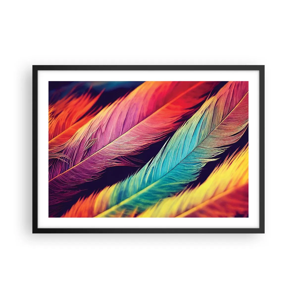 Affisch i svart ram - Fjäderlik regnbåge - 70x50 cm