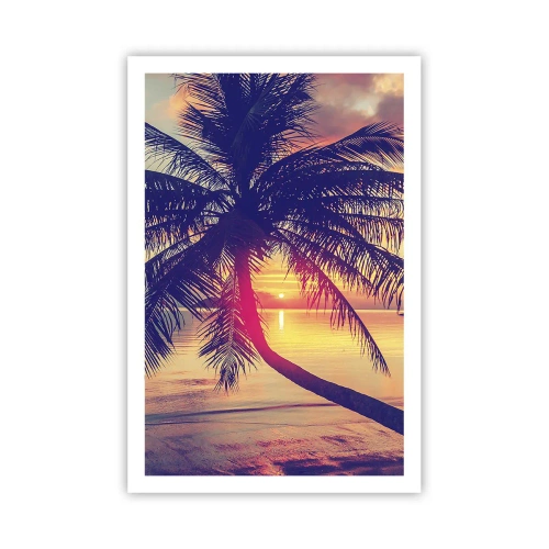 Affisch - Kväll under palmerna - 61x91 cm