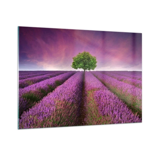 Glastavla - Bild på glas - På lavendelåkrarna - 100x70 cm
