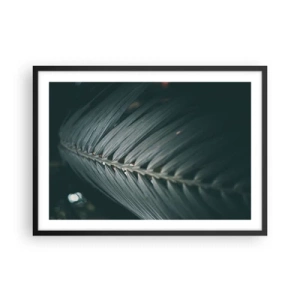 Affisch i svart ram - Naturens precision - 70x50 cm