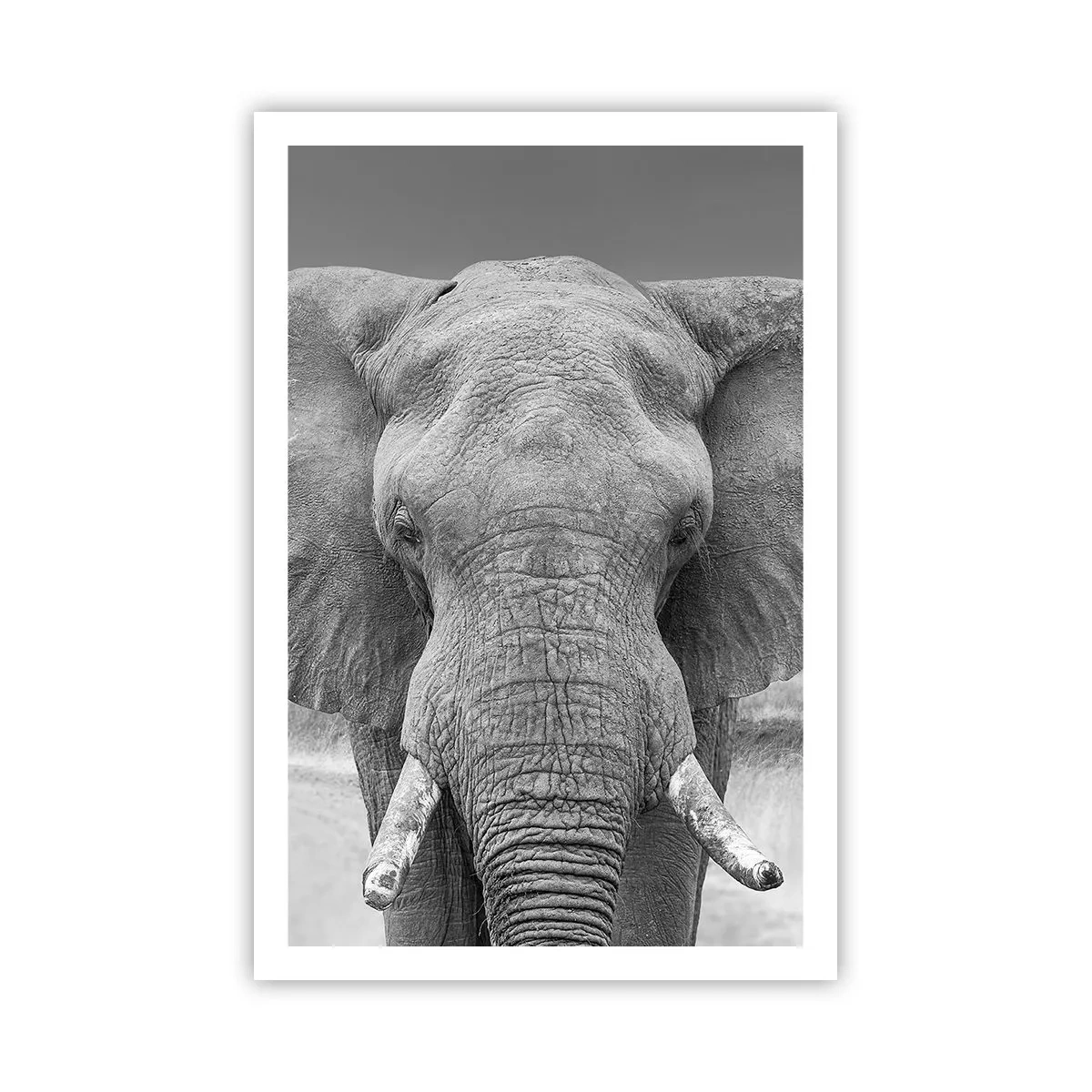 Affisch - Välkommen till min värld - 61x91 cm