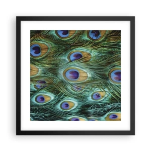 Affisch i svart ram - Påfågels blick - 40x40 cm