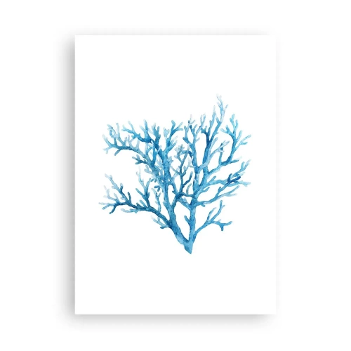Affisch - Marin filigran - 50x70 cm