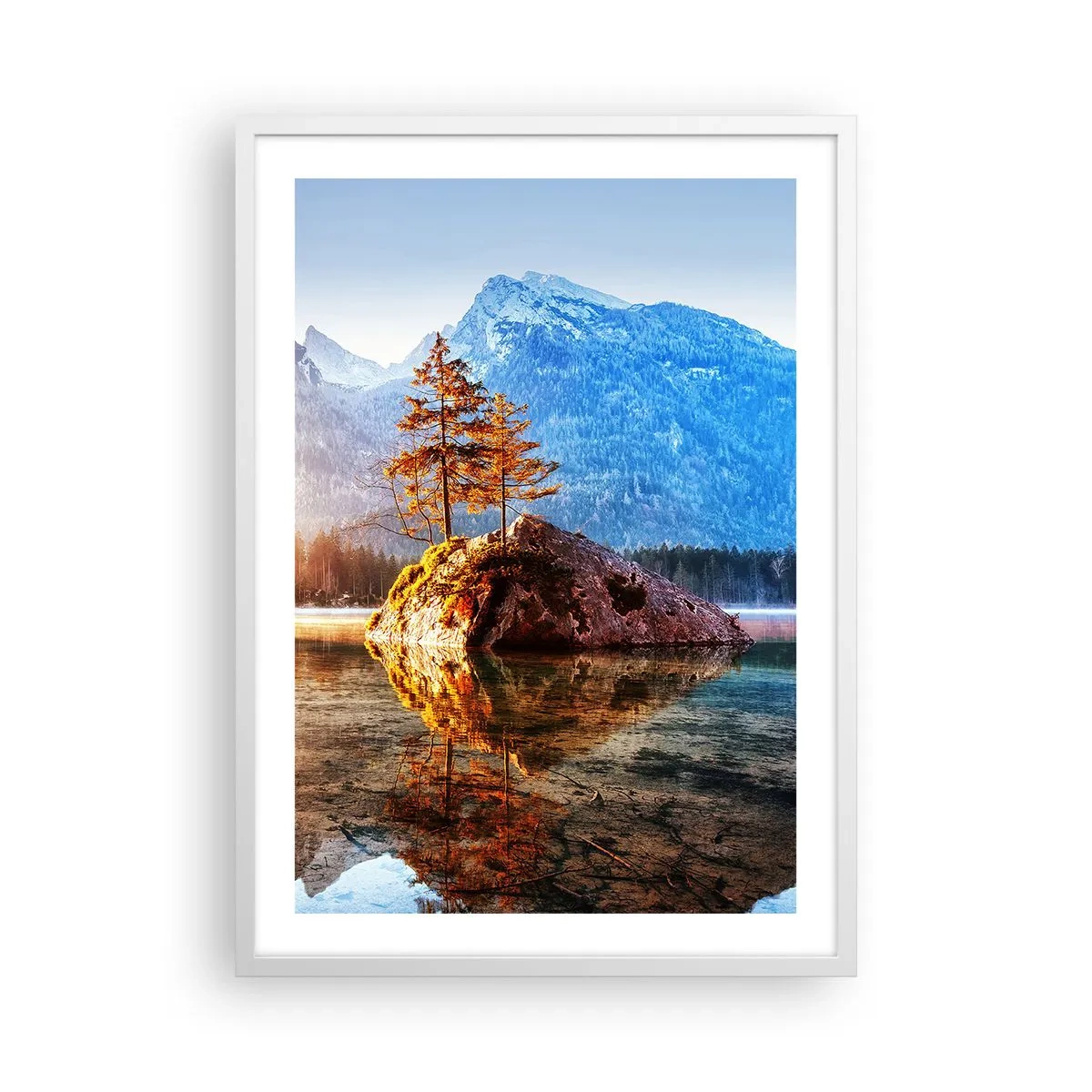 Affisch i vit ram - Naturen i ett nytt ljus - 50x70 cm