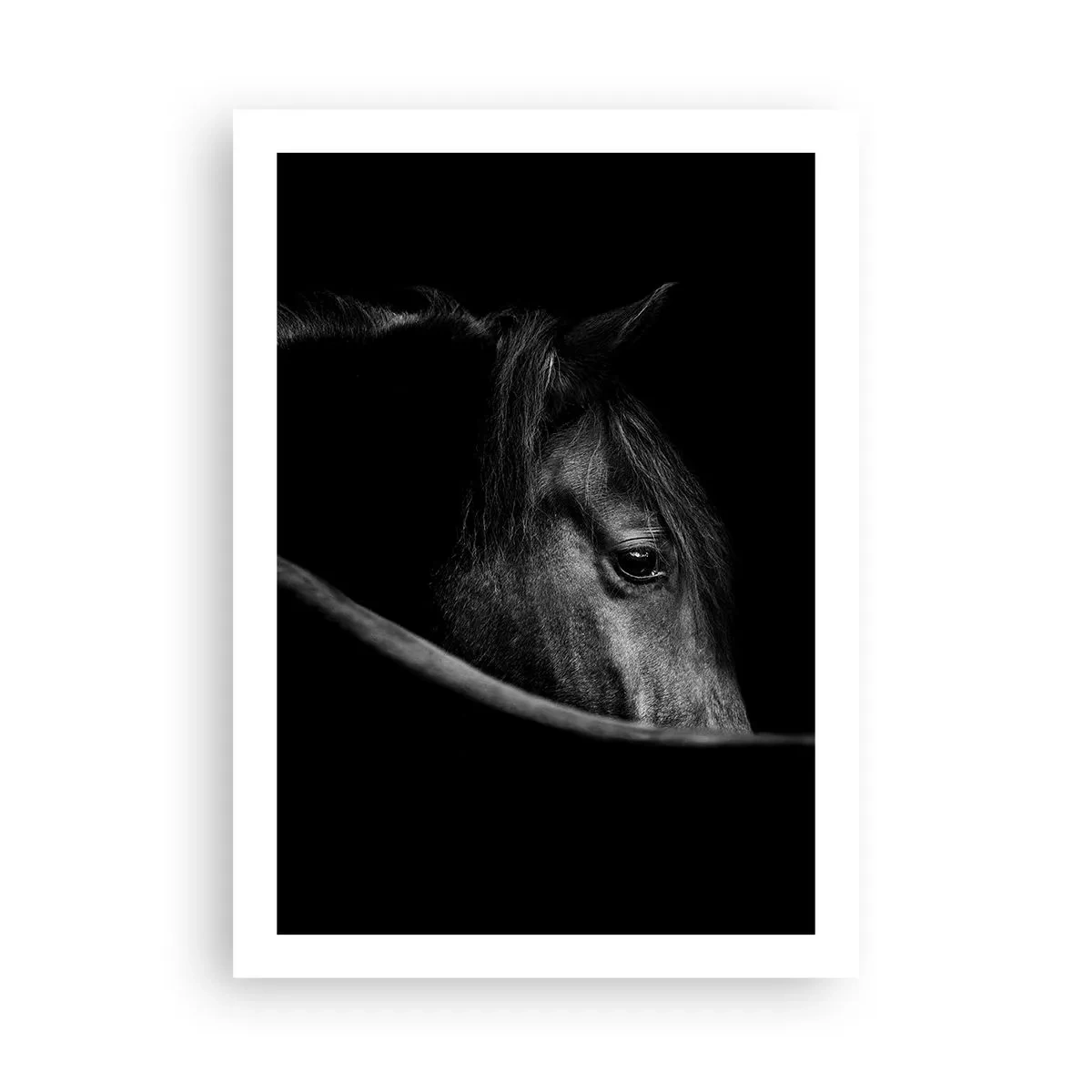 Affisch - Svart prins - 50x70 cm