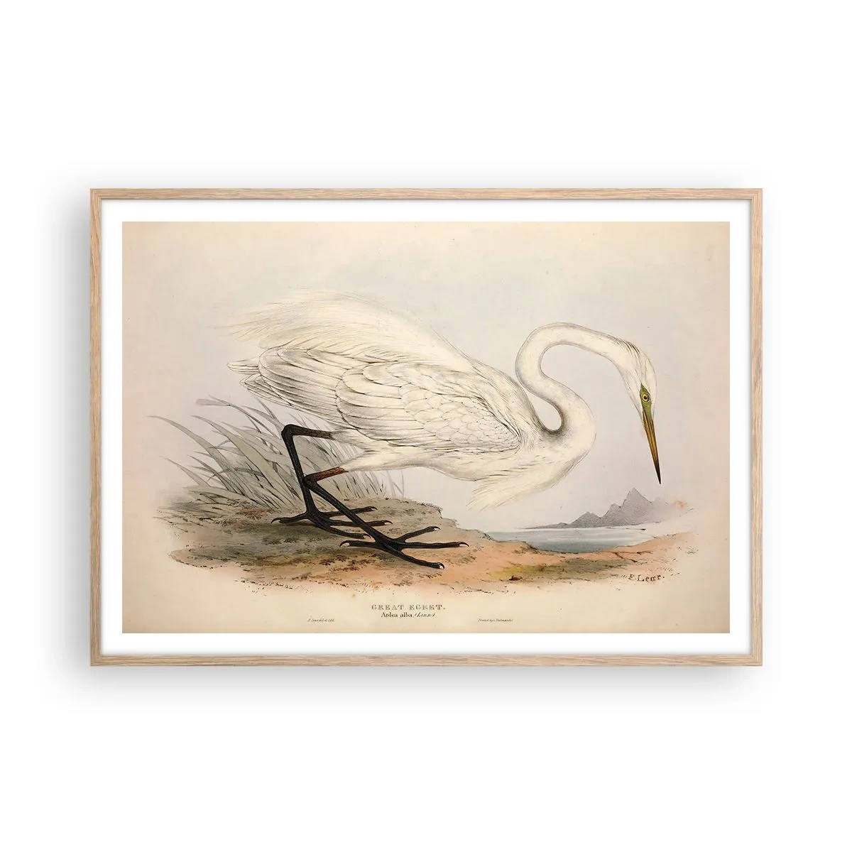 Affisch i ram av ljusek - En dam i vassen - 100x70 cm