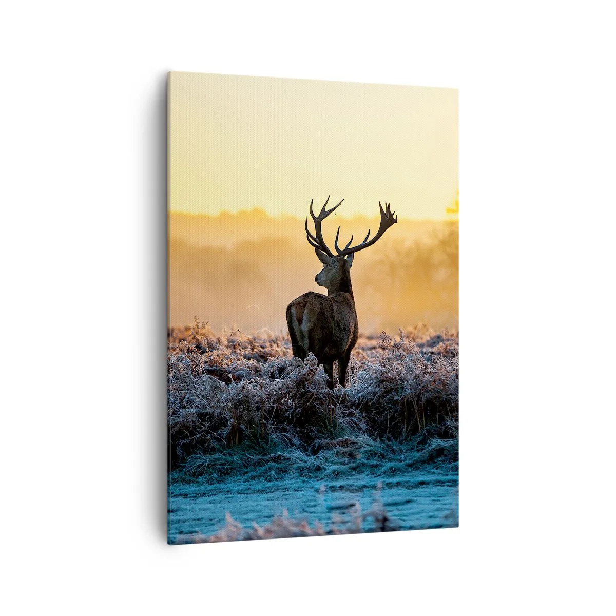 Canvastavla - Bild på duk - Krönt på sin mark - 70x100 cm