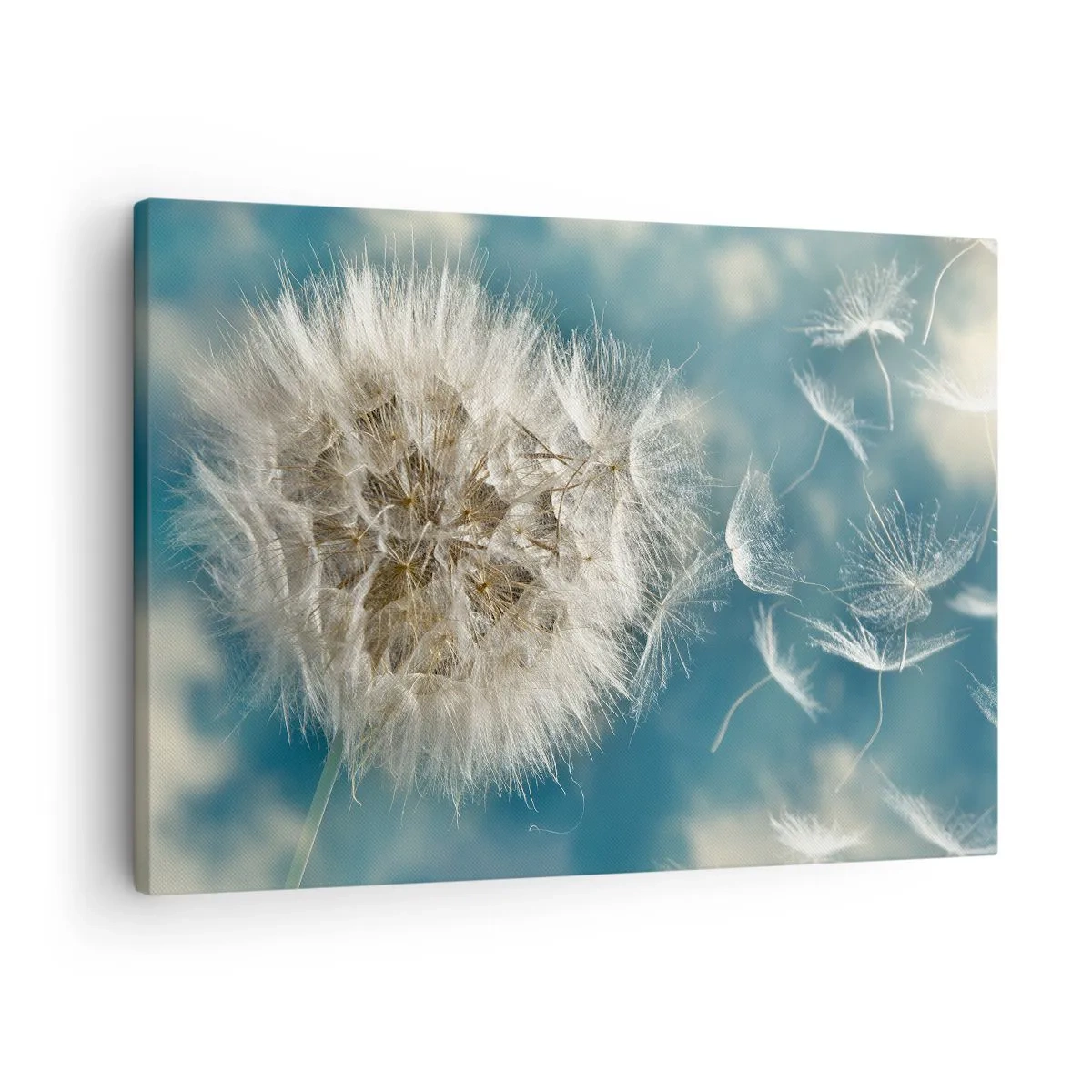Canvastavla - Bild på duk - En utsprängd maskros mot en blå himmel - 70x50cm - Ängelns andetag - Modern väggdekoration för vardagsrum och sovrum ARTTOR