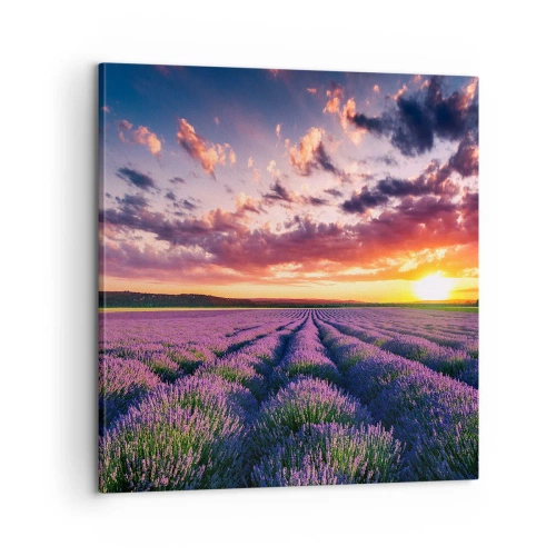 Canvastavla - Bild på duk - Lavandelvärld - 60x60 cm