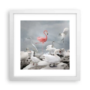 Affisch i vit ram - Hur har jag hamnat här? - 30x30 cm