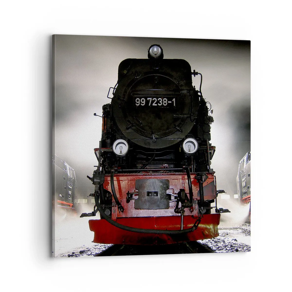 Canvastavla - Bild på duk - Står och stjäler, andas och blåser - 70x70 cm