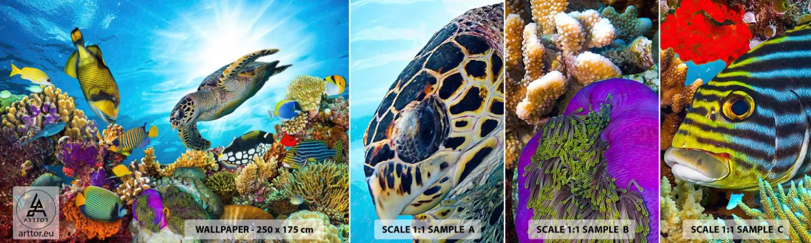 Provbit av självhäftande fototapet Deluxe Sticker - Korallpromenad - korallrev, Hav, Undervattens värld - 100x30 cm