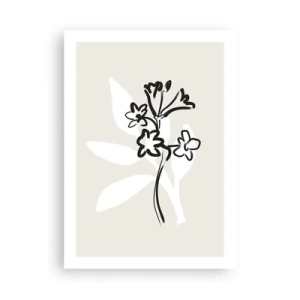 Affisch - Skiss till ett herbarium - 50x70 cm