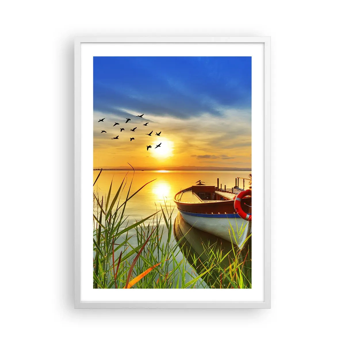 Affisch i vit ram - Storskarvarna drar iväg - 50x70 cm