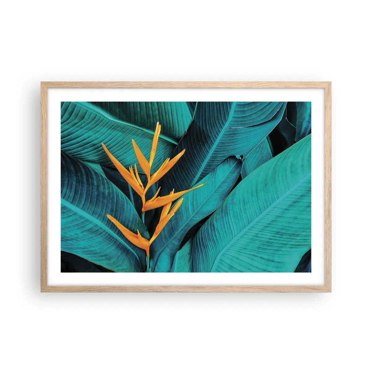 Affisch i ram av ljusek - Edens blomma - 70x50 cm