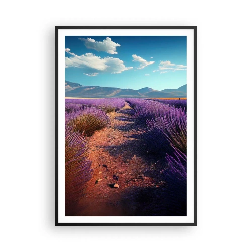 Affisch i svart ram - Doftande fält - 70x100 cm
