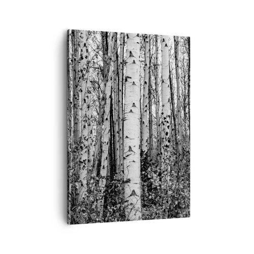 Canvastavla - Bild på duk - Björkpelargång - 50x70 cm