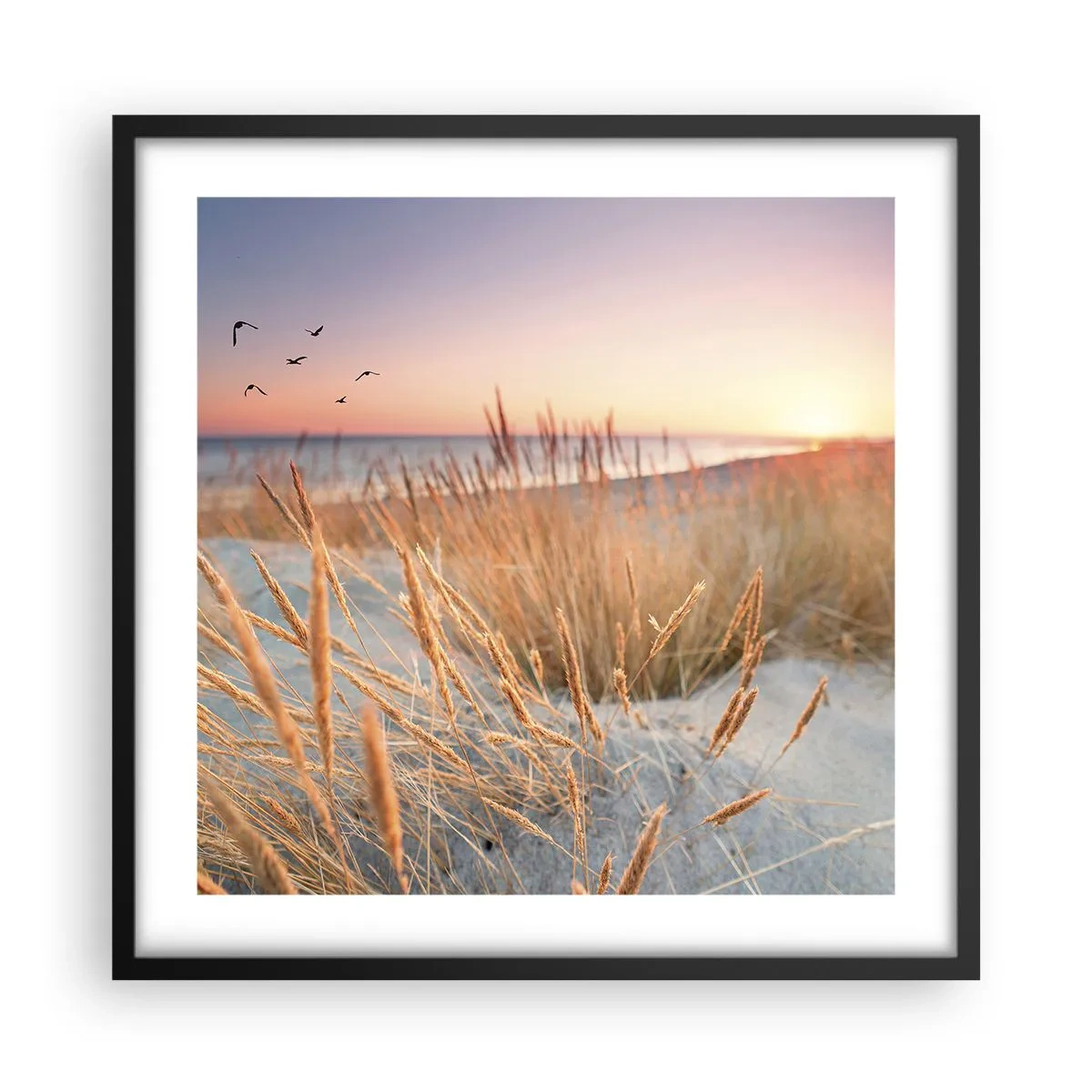Affisch i svart ram - Östersjövaggvisa - 50x50 cm