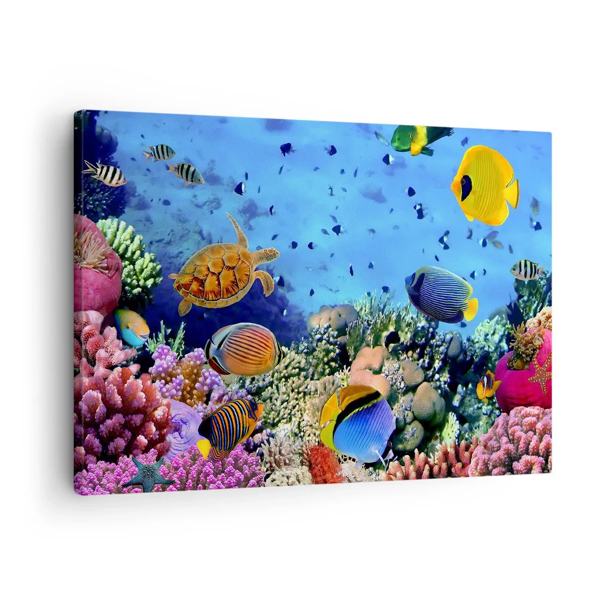 Canvastavla - Bild på duk - Korallrev med färgglada fiskar och en havssköldpadda - 70x50cm - Vad vet vi om livet... - Modern väggdekoration för vardagsrum och sovrum ARTTOR