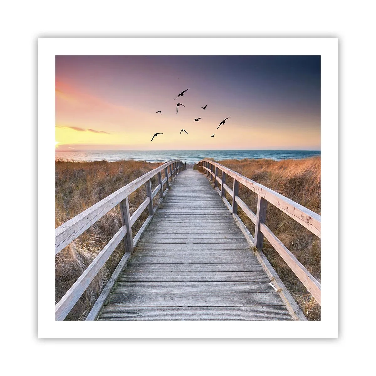 Affisch - Startbana - 60x60 cm