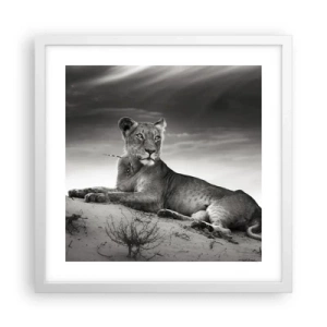Affisch i vit ram - Öknens drottnings vila - 40x40 cm
