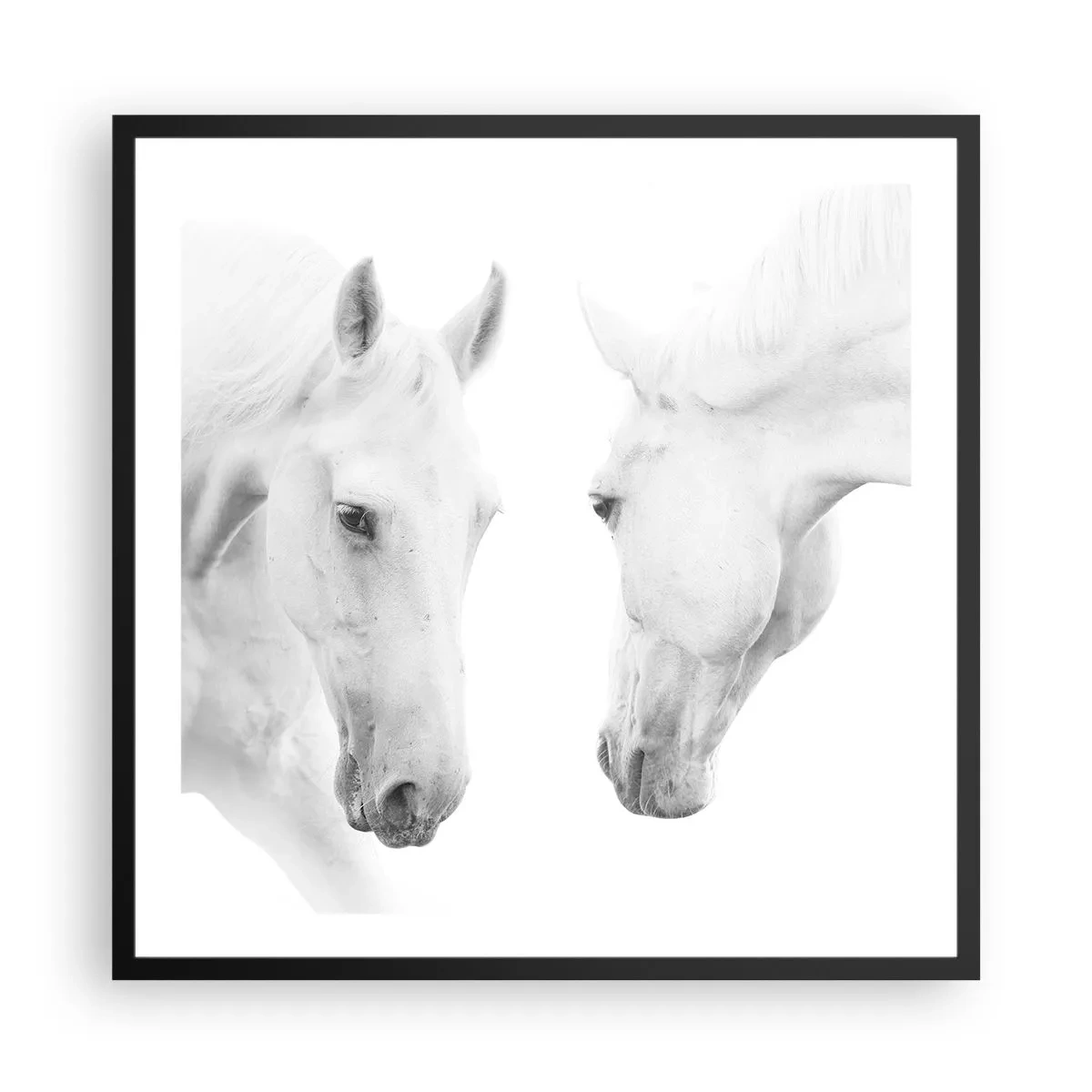 Affisch i svart ram - Är det vänskap…? - 60x60 cm