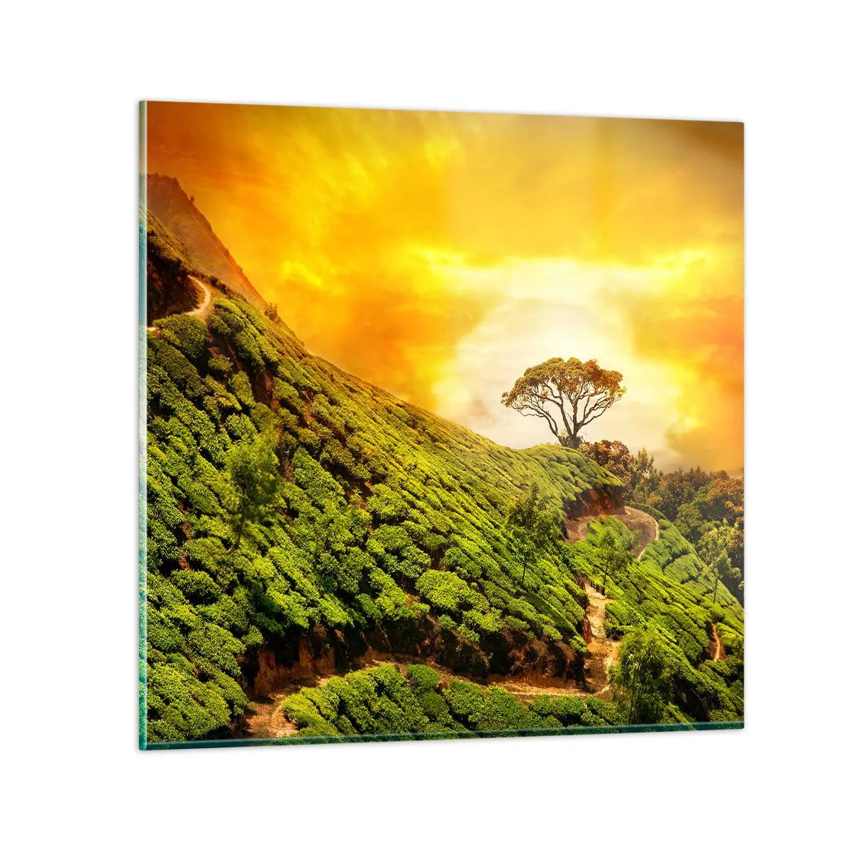 Glastavla - Bild på glas - Genom slingrande stig, grön backe - 30x30 cm