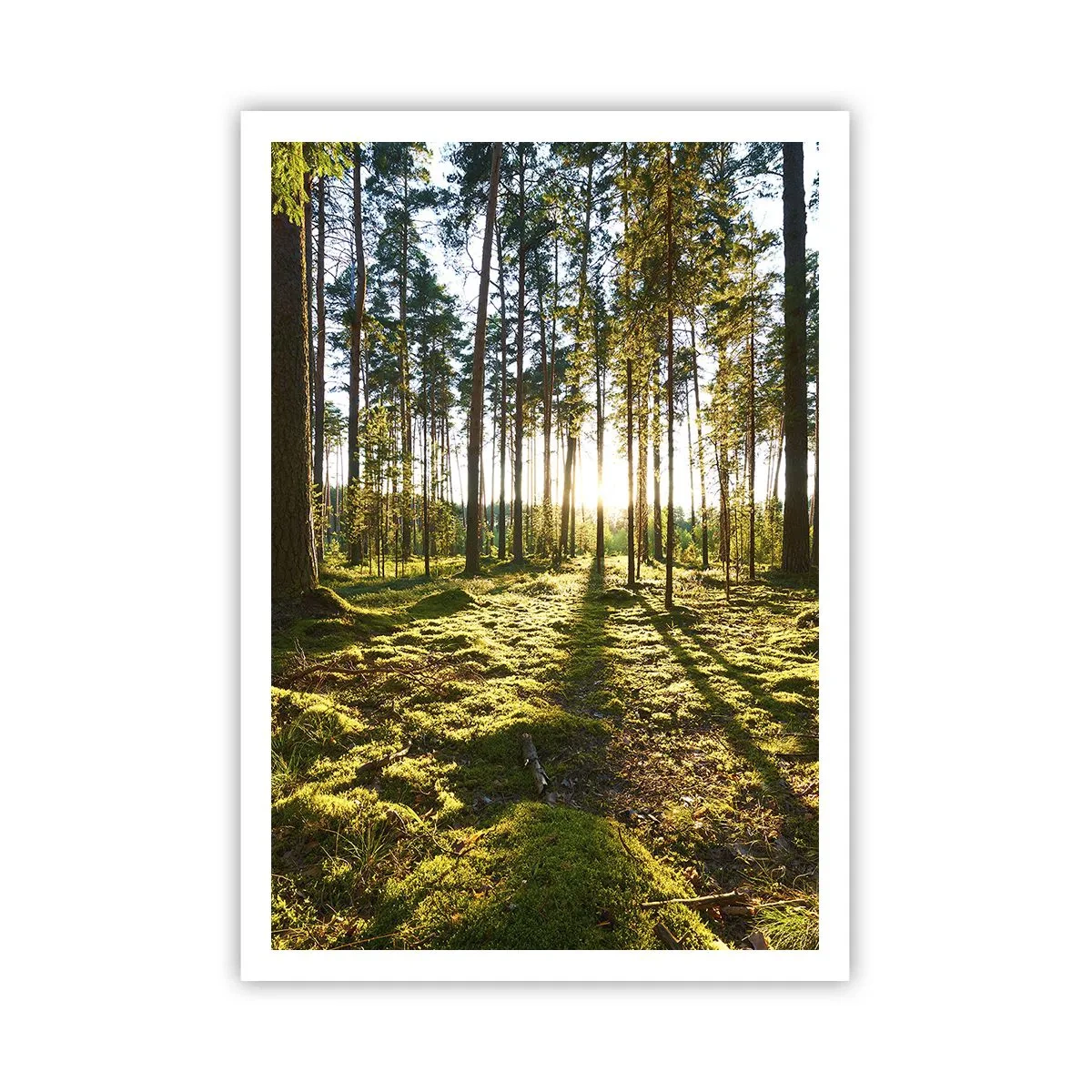 Affisch - ...Bortom sjunde skogen - 70x100 cm