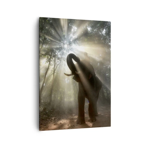 Canvastavla - Bild på duk - Under en lycklig stjärna - 50x70 cm