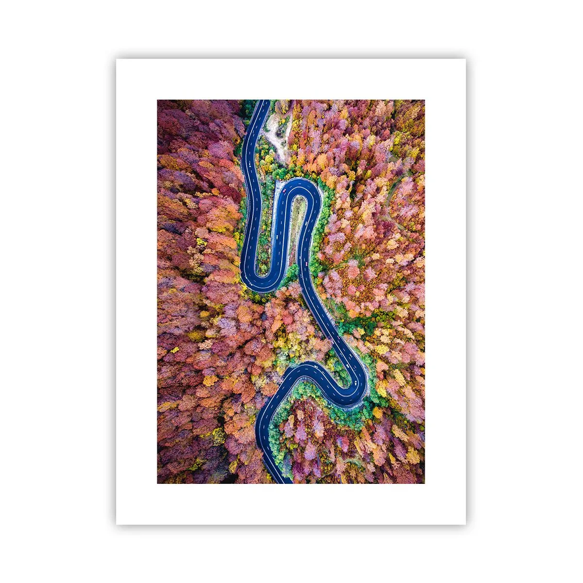 Affisch - Slingrande väg genom skogen - 30x40 cm