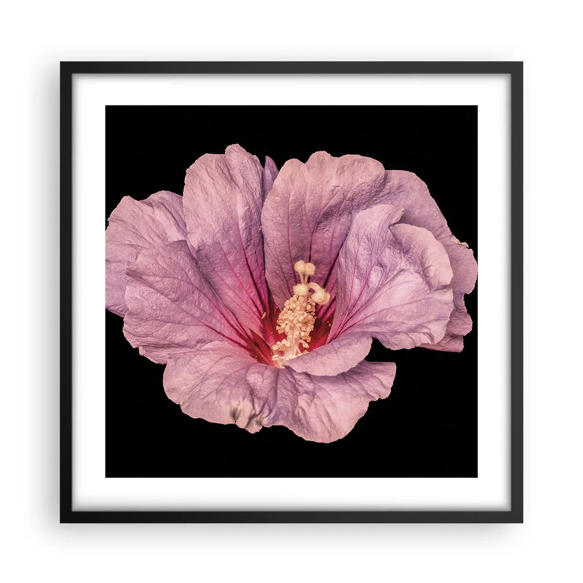 Affisch i svart ram - Rakt till hjärtat - 50x50 cm