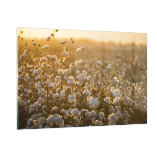 Glastavla - Bild på glas - Fluffigt fält - 120x80 cm