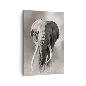 Canvastavla - Bild på duk - Afrikansk patriark - 70x100 cm