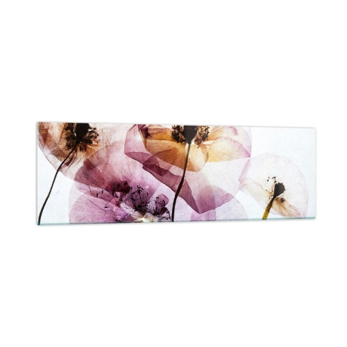Glastavla - Bild på glas - Blommornas transparenta kroppar - 160x50 cm