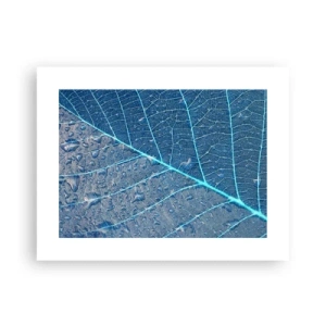 Affisch - Livet i det blåa - 40x30 cm