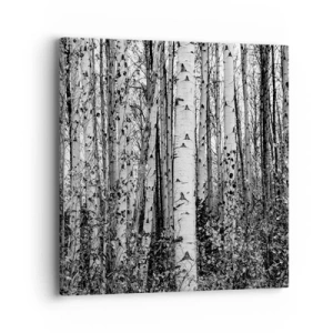 Canvastavla - Bild på duk - Björkpelargång - 40x40 cm